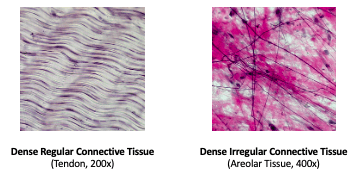 tissue densification