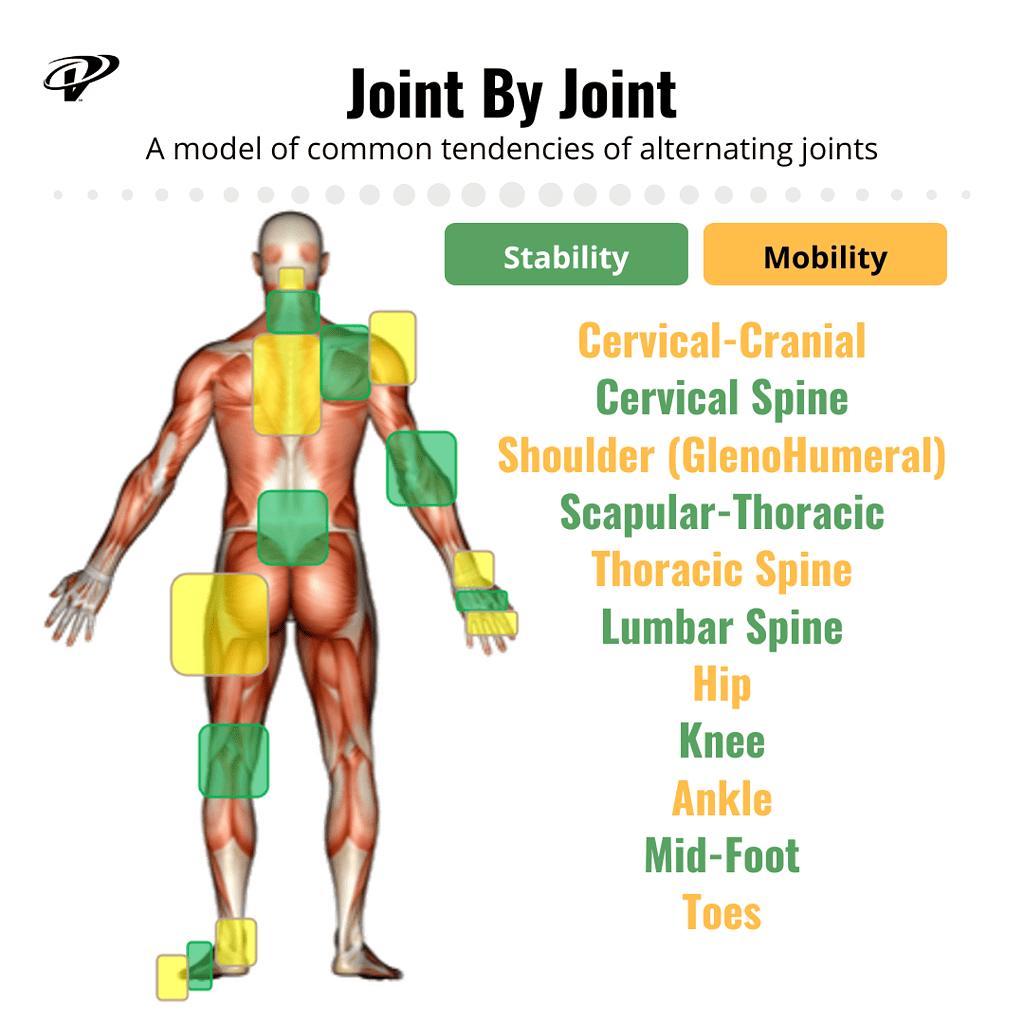 Joint by Joint approach